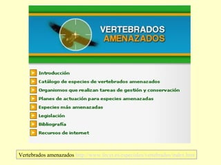 Vertebrados amenazados http://www.fecyt.es/especiales/vertebrados/index.htm

 