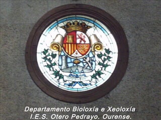 Departamento Bioloxía e Xeoloxía
I.E.S. Otero Pedrayo. Ourense.

 