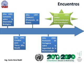 Año: 1992.
Convenio
sobre la
Diversidad
Biológica.
Año: 1992.
Cumbre
para la
Tierra (Rio,
Brasil)
Año: 1997.
CMNUCC.
(Protocolo de
Kioto).
Año: 2000.
Protocolo de
Cartagena
sobre la
Seguridad de la
Biotecnología.
Año: 2005.
CMNU
(Johannesburgo).
Plan Estratégico.
Ing. Carla Vera Rodil
 