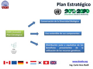 CSDV (Canadá)
Plan Estratégico.
Ing. Carla Vera Rodil
Conservación de la Diversidad Biológica
Uso sostenible de sus componentes
Distribución justa y equitativa de los
beneficios provenientes de la
utilización de los recursos genéticos.
www.biodiv.org
 