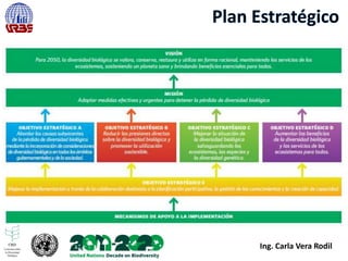 Ing. Carla Vera Rodil
 