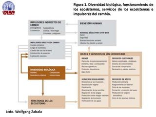 Figura 1. Diversidad biológica, funcionamiento de
los ecosistemas, servicios de los ecosistemas e
impulsores del cambio.
Lcdo. Wolfgang Zabala
 