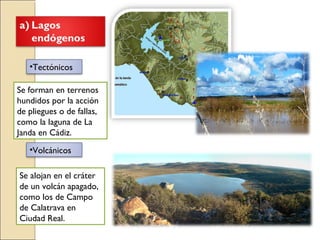 •Tectónicos
•Volcánicos
Se forman en terrenos
hundidos por la acción
de pliegues o de fallas,
como la laguna de La
Janda en Cádiz.
Se alojan en el cráter
de un volcán apagado,
como los de Campo
de Calatrava en
Ciudad Real.
 