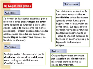 •Glaciares
•Kársticos
•Endorreicos
Se forman en las cubetas excavadas por el
hielo en el circo glaciar (lagos de circo
como la laguna de Gredos), o en el valle
glaciar (lagos de valle como los ibones
pirenaicos). También pueden deberse a las
obstrucciones causadas por la morrena
frontal (lagos de morrena como el de
Sanabria en Zamora).
Se alojan en las cubetas creadas por la
disolución de la caliza o del yeso,
como las Lagunas de Ruidera en
Castilla La Mancha
Son el tipo más extendido. Se
forman en zonas áridas o
semiáridas donde las escasas
aguas no tienen fuerza para
llegar al mar y se acumulan en
zonas llanas. Sus aguas suelen
ser salobres y poco profundas.
Las lagunas manchegas de las
Tablas de Daimiel, la laguna de
Sariñena en Los Monegros, y la
laguna de Gallocanta en
Aragón.
•Eólicos
Ocupan depresiones excavadas
por la acción del viento en los
materiales blandos, como las
closes del Ampurdán.
 