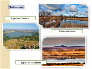 •Endorreicos
Tablas de Daimiel
Laguna de Sariñena
Laguna de Gallocanta
 