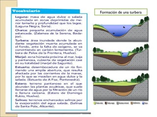Formación de una turbera
 