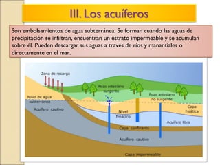 Son embolsamientos de agua subterránea. Se forman cuando las aguas de
precipitación se infiltran, encuentran un estrato impermeable y se acumulan
sobre él. Pueden descargar sus aguas a través de ríos y manantiales o
directamente en el mar.
 