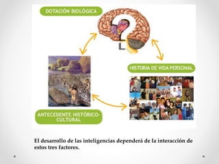 El desarrollo de las inteligencias dependerá de la interacción de
estos tres factores.
 