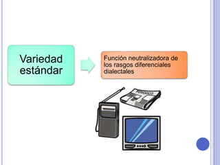 Variedad 
estándar 
Función neutralizadora de 
los rasgos diferenciales 
dialectales 
 