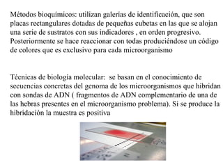Métodos bioquímicos: utilizan galerías de identificación, que son
placas rectangulares dotadas de pequeñas cubetas en las que se alojan
una serie de sustratos con sus indicadores , en orden progresivo.
Posteriormente se hace reaccionar con todas produciéndose un código
de colores que es exclusivo para cada microorganismo


Técnicas de biología molecular: se basan en el conocimiento de
secuencias concretas del genoma de los microorganismos que hibridan
con sondas de ADN ( fragmentos de ADN complementario de una de
las hebras presentes en el microorganismo problema). Si se produce la
hibridación la muestra es positiva
 