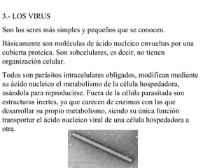 3.- LOS VIRUS
Son los seres más simples y pequeños que se conocen.
Básicamente son moléculas de ácido nucleico envueltas por una
cubierta proteica. Son subcelulares, es decir, no tienen
organización celular.
Todos son parásitos intracelulares obligados, modifican mediante
su ácido nucleico el metabolismo de la célula hospedadora,
usándola para reproducirse. Fuera de la célula parasitada son
estructuras inertes, ya que carecen de enzimas con las que
desarrollar su propio metabolismo, siendo su única función
transportar el ácido nucleico viral de una célula hospedadora a
otra.
 