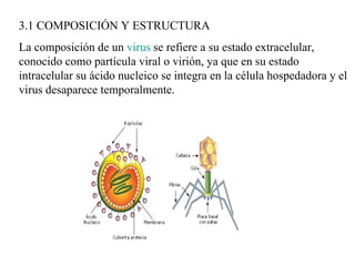 3.1 COMPOSICIÓN Y ESTRUCTURA
La composición de un virus se refiere a su estado extracelular,
conocido como partícula viral o virión, ya que en su estado
intracelular su ácido nucleico se integra en la célula hospedadora y el
virus desaparece temporalmente.
 