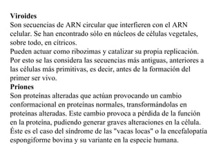 Viroides
Son secuencias de ARN circular que interfieren con el ARN
celular. Se han encontrado sólo en núcleos de células vegetales,
sobre todo, en cítricos.
Pueden actuar como ribozimas y catalizar su propia replicación.
Por esto se las considera las secuencias más antiguas, anteriores a
las células más primitivas, es decir, antes de la formación del
primer ser vivo.
Priones
Son proteínas alteradas que actúan provocando un cambio
conformacional en proteínas normales, transformándolas en
proteínas alteradas. Este cambio provoca a pérdida de la función
en la proteína, pudiendo generar graves alteraciones en la célula.
Éste es el caso del síndrome de las "vacas locas" o la encefalopatía
espongiforme bovina y su variante en la especie humana.
 