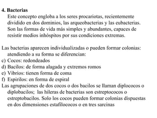 4. Bacterias
   Este concepto engloba a los seres procariotas, recientemente
   dividido en dos dominios, las arqueobacterias y las eubacterias.
   Son las formas de vida más simples y abundantes, capaces de
   resistir medios inhóspitos por sus condiciones extremas.

Las bacterias aparecen individualizadas o pueden formar colonias:
   atendiendo a su forma se diferencian:
c) Cocos: redondeados
d) Bacilos: de forma alagada y extremos romos
e) Vibrios: tienen forma de coma
f) Espirilos: en forma de espiral
Las agrupaciones de dos cocos o dos bacilos se llaman diplococos o
   diplobacilos; las hileras de bacterias son estreptococos o
   estreptobacilos. Solo los cocos pueden formar colonias dispuestas
   en dos dimensiones estafilococos o en tres sarcinas
 