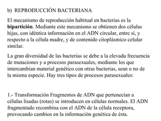 b) REPRODUCCIÓN BACTERIANA
El mecanismo de reproducción habitual en bacterias es la
bipartición. Mediante este mecanismo se obtienen dos células
hijas, con idéntica información en el ADN circular, entre sí, y
respecto a la célula madre, y de contenido citoplásmico celular
similar.
La gran diversidad de las bacterias se debe a la elevada frecuencia
de mutaciones y a procesos parasexuales, mediante los que
intercambian material genético con otras bacterias, sean o no de
la misma especie. Hay tres tipos de procesos parasexuales:


1.- Transformación Fragmentos de ADN que pertenecían a
células lisadas (rotas) se introducen en células normales. El ADN
fragmentado recombina con el ADN de la célula receptora,
provocando cambios en la información genética de ésta.
 