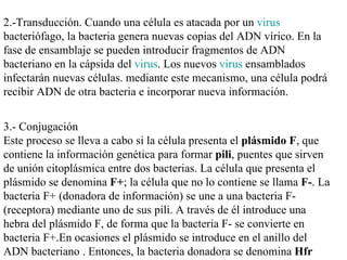 2.-Transducción. Cuando una célula es atacada por un virus
bacteriófago, la bacteria genera nuevas copias del ADN vírico. En la
fase de ensamblaje se pueden introducir fragmentos de ADN
bacteriano en la cápsida del virus. Los nuevos virus ensamblados
infectarán nuevas células. mediante este mecanismo, una célula podrá
recibir ADN de otra bacteria e incorporar nueva información.


3.- Conjugación
Este proceso se lleva a cabo si la célula presenta el plásmido F, que
contiene la información genética para formar pili, puentes que sirven
de unión citoplásmica entre dos bacterias. La célula que presenta el
plásmido se denomina F+; la célula que no lo contiene se llama F-. La
bacteria F+ (donadora de información) se une a una bacteria F-
(receptora) mediante uno de sus pili. A través de él introduce una
hebra del plásmido F, de forma que la bacteria F- se convierte en
bacteria F+.En ocasiones el plásmido se introduce en el anillo del
ADN bacteriano . Entonces, la bacteria donadora se denomina Hfr
 