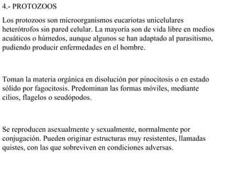 4.- PROTOZOOS
Los protozoos son microorganismos eucariotas unicelulares
heterótrofos sin pared celular. La mayoría son de vida libre en medios
acuáticos o húmedos, aunque algunos se han adaptado al parasitismo,
pudiendo producir enfermedades en el hombre.



Toman la materia orgánica en disolución por pinocitosis o en estado
sólido por fagocitosis. Predominan las formas móviles, mediante
cilios, flagelos o seudópodos.



Se reproducen asexualmente y sexualmente, normalmente por
conjugación. Pueden originar estructuras muy resistentes, llamadas
quistes, con las que sobreviven en condiciones adversas.
 