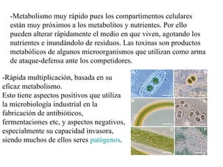 -Metabolismo muy rápido pues los compartimentos celulares
  están muy próximos a los metabolitos y nutrientes. Por ello
  pueden alterar rápidamente el medio en que viven, agotando los
  nutrientes e inundándolo de residuos. Las toxinas son productos
  metabólicos de algunos microorganismos que utilizan como arma
  de ataque-defensa ante los competidores.

-Rápida multiplicación, basada en su
eficaz metabolismo.
Esto tiene aspectos positivos que utiliza
la microbiología industrial en la
fabricación de antibióticos,
fermentaciones etc, y aspectos negativos,
especialmente su capacidad invasora,
siendo muchos de ellos seres patógenos.
 
