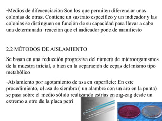 -Medios de diferenciación Son los que permiten diferenciar unas
colonias de otras. Contiene un sustrato específico y un indicador y las
colonias se distinguen en función de su capacidad para llevar a cabo
una determinada reacción que el indicador pone de manifiesto


2.2 MÉTODOS DE AISLAMIENTO
Se basan en una reducción progresiva del número de microorganismos
de la muestra inicial, o bien en la separación de cepas del mismo tipo
metabólico
-Aislamiento por agotamiento de asa en superficie: En este
procedimiento, el asa de siembra ( un alambre con un aro en la punta)
se pasa sobre el medio sólido realizando estrías en zig-zag desde un
extremo a otro de la placa petri
 