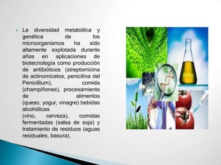    La diversidad metabólica y
    genética          de         los
    microorganismos      ha     sido
    altamente explotada durante
    años en aplicaciones de
    biotecnología como producción
    de antibióticos (streptomicina
    de actinomicetos, penicilina del
    Penicillium),            comida
    (champiñones), procesamiento
    de                    alimentos
    (queso, yogur, vinagre) bebidas
    alcohólicas
    (vino,    cerveza),    comidas
    fermentadas (salsa de soja) y
    tratamiento de residuos (aguas
    residuales, basura).
 