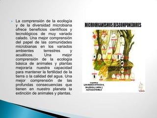    La comprensión de la ecología
    y de la diversidad microbiana
    ofrece beneficios científicos y
    tecnológicos de muy variado
    calado. Una mejor comprensión
    del papel de las comunidades
    microbianas en los variados
    ambientes         terrestres     y
    acuáticos.        Una        mejor
    comprensión de la ecología
    básica de animales y plantas
    mejoraría nuestra capacidad
    para mantener la fertilidad de la
    tierra o la calidad del agua. Una
    mejor comprensión de las
    profundas consecuencias que
    tienen en nuestro planeta la
    extinción de animales y plantas.
 