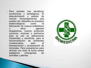    Pero también hay beneficios
    económicos y estratégicos. El
    descubrimiento y estudio de
    nuevos microorganismos que
    pueden ser utilizados en procesos
    biotecnológicos        como       la
    fabricación de nuevos antibióticos
    u           otros           agentes
    terapéuticos, nuevos productos
    químicos, enzimas o polímeros
    para su uso en aplicaciones
    industriales y científicas, para la
    biorremediación de ambientes
    contaminados,          para       el
    biotratamiento y recuperación de
    minerales. Para prepararnos para
    afrontar con éxito la lucha contra
    patógenos       emergentes       de
    animales y plantas.
 