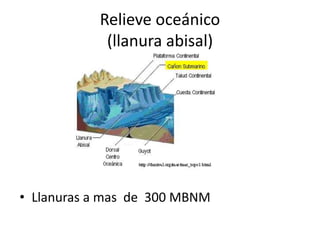 Relieve oceánico
(llanura abisal)
• Llanuras a mas de 300 MBNM
 