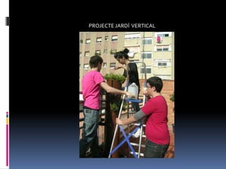 PROJECTE JARDÍ VERTICAL
 