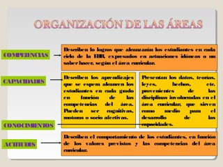 Describen lo logros que alcanzarán los estudiantes en cada
COM E E
   P T NCIAS   ciclo de la E R, expresados en actuaciones idóneas o un
                            B
               saber hacer, según el área curricular.

               Describen los aprendizajes     P resentan los datos, teorías,
CAPACIDADES    que se espera alcancen los     leyes,       hechos,      etc.
               estudiantes en cada grado      provenientes        de     las
               en     función    de     las   disciplinas involucradas en el
               competencias del área.         área curricular, que sirven
               Pueden ser cognitivas,         como      medio      para   el
               motoras o socio afectivas.     desarrollo        de       las
CONOCIM NT
       IE OS                                  capacidades.

               Describen el comportamiento de los estudiantes, en función
ACT UDE
   IT  S       de los valores previstos y las competencias del área
               curricular.
 