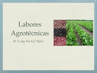 Labores
Agrotécnicas
M. Sc. Ing. Kevin J. Mejía