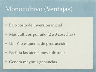 Monocultivo (Ventajas)
Bajo costo de inversión inicial !
Más cultivos por año (2 a 3 cosechas)!
Un sólo esquema de producción!
Facilita las atenciones culturales!
Genera mayores ganancias