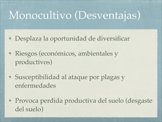 Monocultivo (Desventajas)
Desplaza la oportunidad de diversificar!
Riesgos (económicos, ambientales y
productivos)!
Susceptibilidad al ataque por plagas y
enfermedades!
Provoca perdida productiva del suelo (desgaste
del suelo)