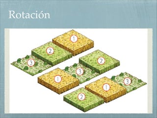 Rotación