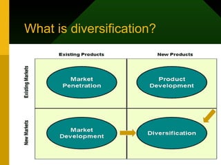 What is diversification? 