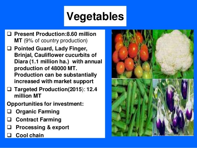 diversification of agriculture Economic diversification in recession: a case of nigerian agriculture as a sign post for national development and sustainable growth shitu, abdul muftah. diversification of agriculture Economic diversification in recession: a case of nigerian agriculture as a sign post for national development and sustainable growth shitu, abdul muftah.