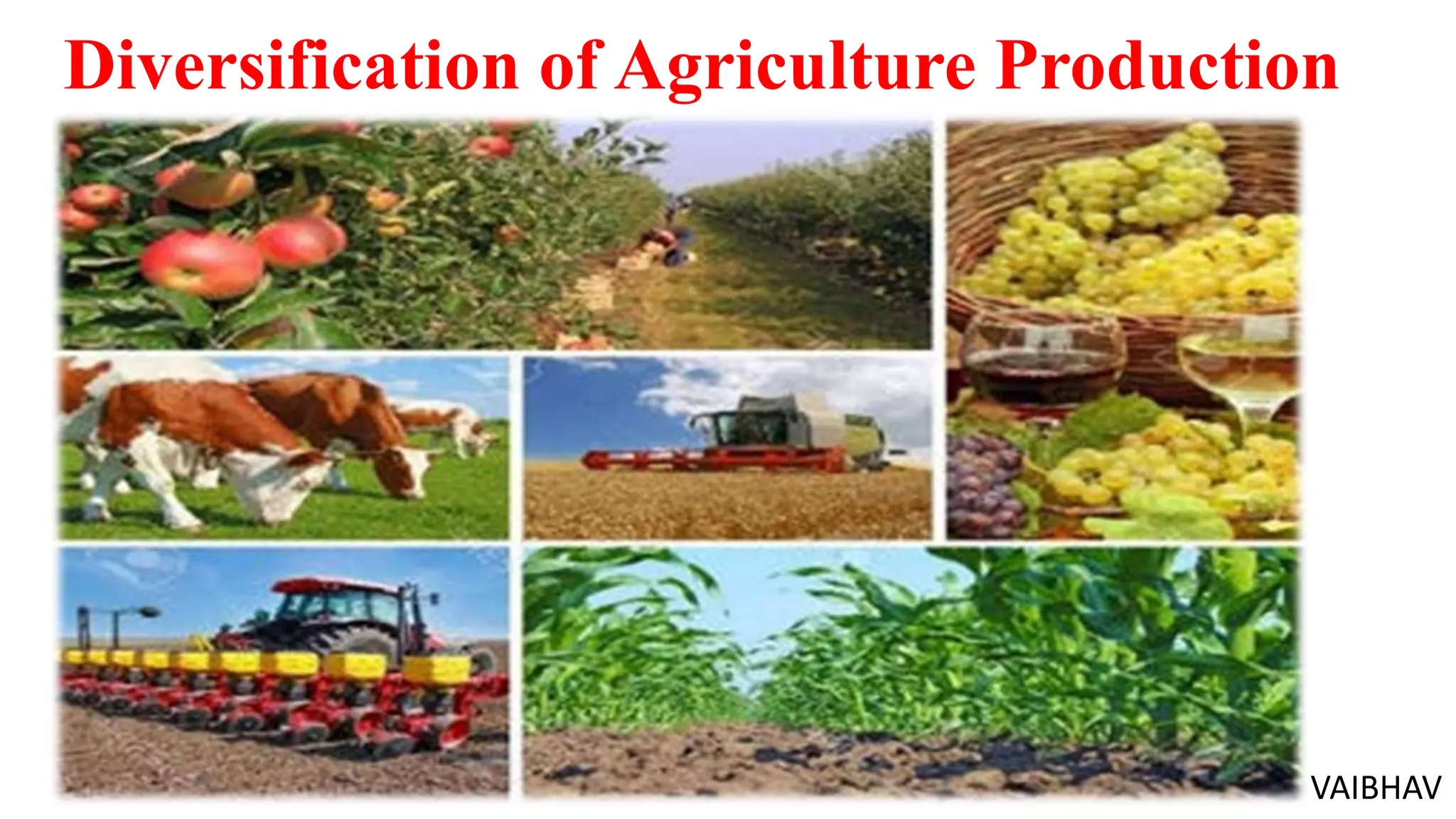 Diversification of agriculture production PPT