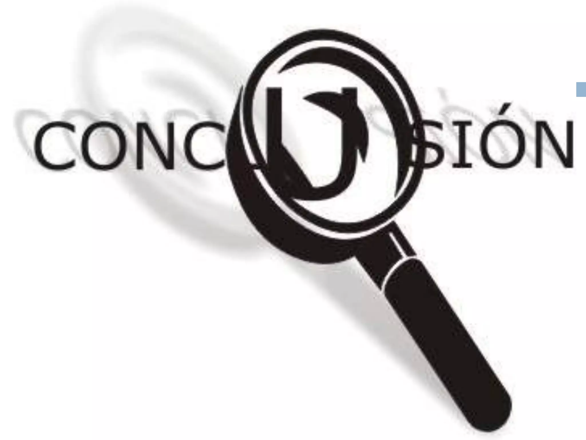 Diversification strategy final