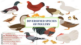 DIVERSIFIED SPECIES
OF POULTRY
Prepared by
Dr. Harshini Alapati (M.V.Sc Poultry science)
Contractual Teaching Faculty
Dept of LFC
Veterinary College, Hassan
KVAFSU, Karnataka
 