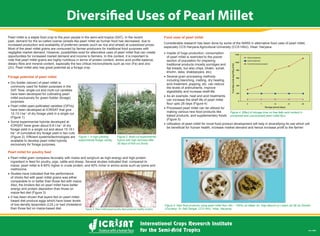 Diversified Uses of Pearl Millet
 