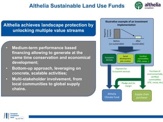 Diversifying financing instruments to realise REDD+
