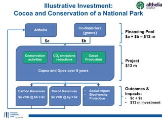Diversifying financing instruments to realise REDD+