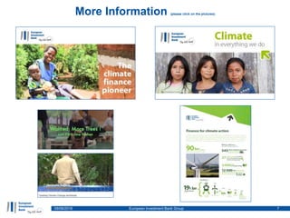 Diversifying financing instruments to realise REDD+