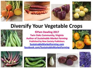 Diversify Your Vegetable Crops
©Pam Dawling 2017
Twin Oaks Community, Virginia
Author of Sustainable Market Farming
Published by New Society Publishers
SustainableMarketFarming.com
facebook.com/SustainableMarketFarming
 
