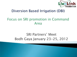 SRI Partners’ Meet
Bodh Gaya January 23-25, 2012
 