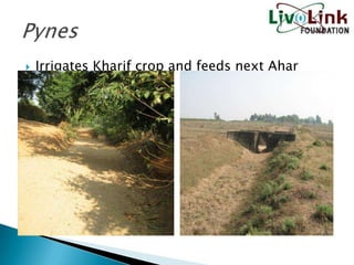    Irrigates Kharif crop and feeds next Ahar
 