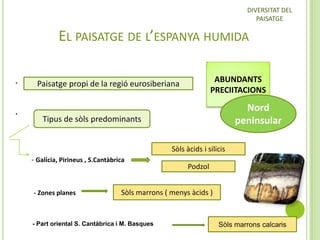 DIVERSITAT DEL
PAISATGE

EL PAISATGE DE L’ESPANYA HUMIDA
.
.

ABUNDANTS
PRECIITACIONS

Paisatge propi de la regió eurosiberiana

Nord
peninsular

Tipus de sòls predominants
Sòls àcids i silicis
- Galícia, Pirineus , S.Cantàbrica

- Zones planes

Podzol

Sòls marrons ( menys àcids )

- Part oriental S. Cantàbrica i M. Basques

Sòls marrons calcaris

 