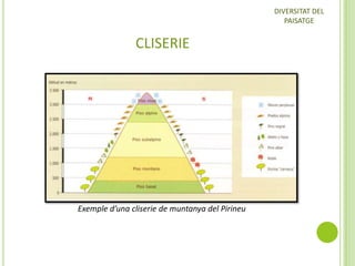 DIVERSITAT DEL
PAISATGE

CLISERIE

Exemple d’una cliserie de muntanya del Pirineu

 
