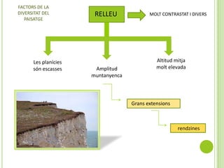 FACTORS DE LA
DIVERSITAT DEL
PAISATGE

Les planícies
són escasses

RELLEU

Amplitud
muntanyenca

MOLT CONTRASTAT I DIVERS

Altitud mitja
molt elevada

Grans extensions

rendzines

 