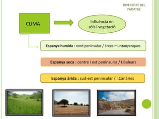 DIVERSITAT DEL
PAISATGE

CLIMA

Influència en
sòls i vegetació

Espanya humida : nord peninsular / àrees muntanyenques

Espanya seca : centre i est peninsular / I.Balears

Espanya àrida : sud-est peninsular / I.Canàries

 