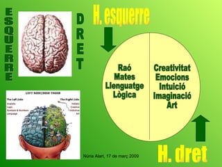 E S Q U E R R E H. dret Raó Mates Llenguatge Lògica Creativitat Emocions Intuició Imaginació Art H. esquerre D R E T 